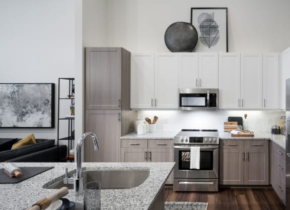 Stainless Steel Appliances at Berkshire Pullman, Frisco, TX